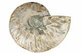 Cut & Polished Ammonite Fossil (Half) - Madagascar #191668-1